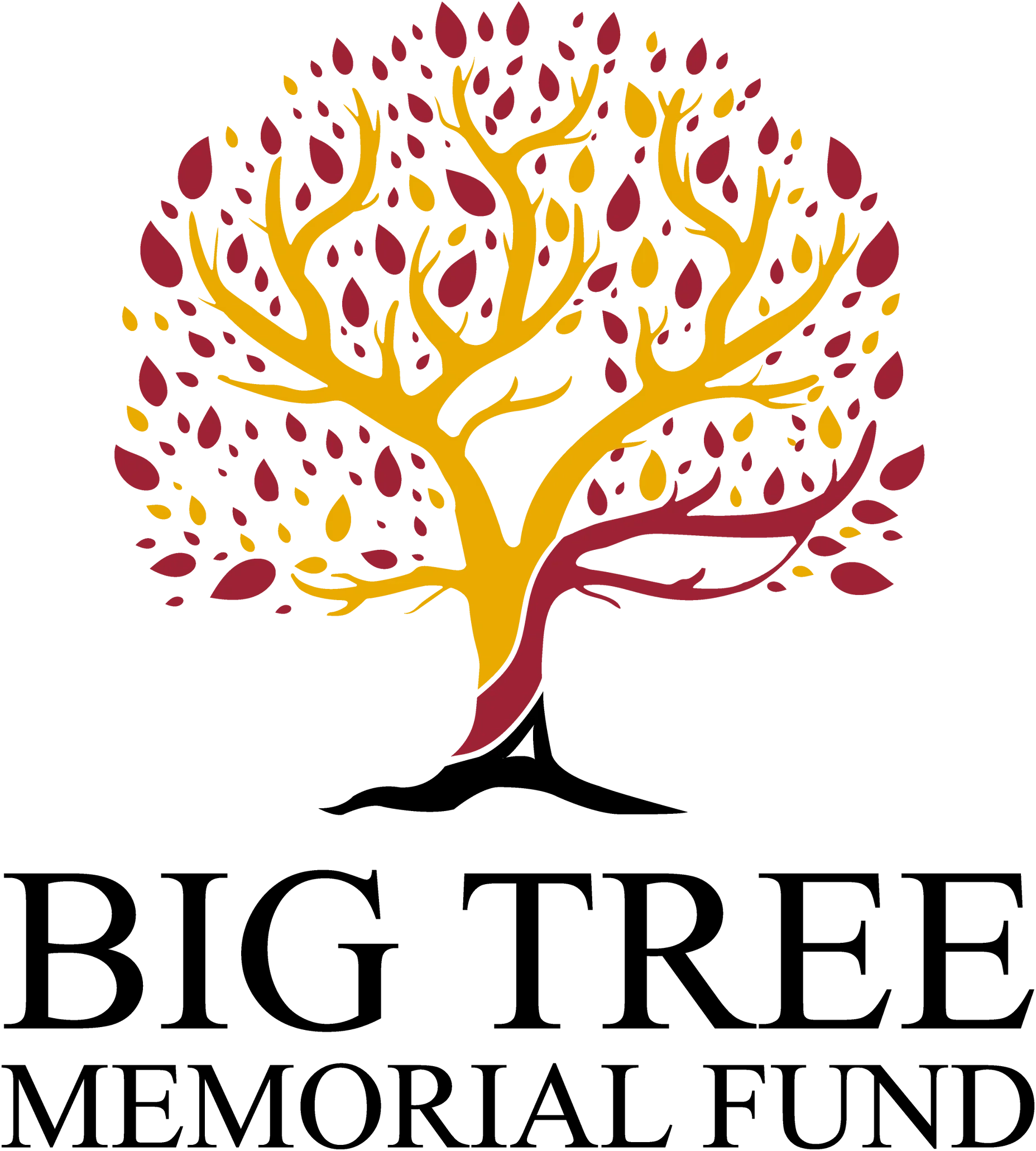 The Big Tree Memorial Fund